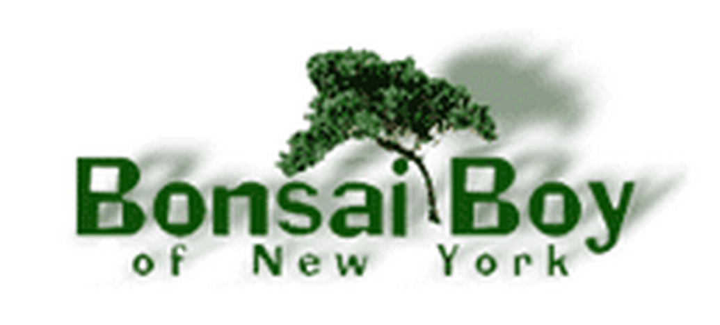 Bonsai Boy of New York cashback offer