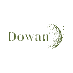 DOWAN-LLC cashback offer