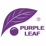 purpleleaf-creator cashback offer