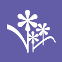 From-You-Flowers cashback offer