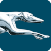 Greyhound